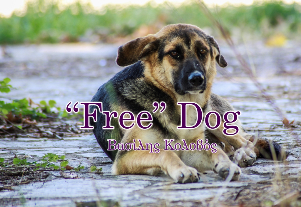 free dog 2